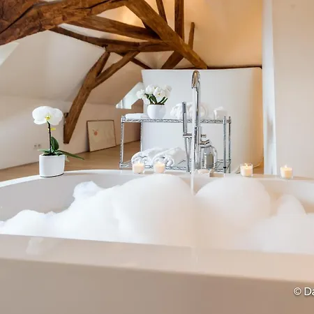 Mana Ohana - Luxe Et Authenticite Juste A Cote De La Place Ducale Avec Parking Prive Lejlighed *