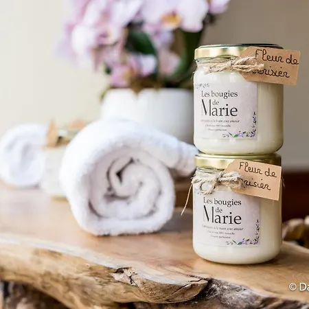 Mana Ohana - Luxe Et Authenticité à 2 Pas De La Place Ducale Avec Parking Privé * Charleville-Mézières