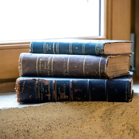 Apartamento Mana Ohana - Luxe Et Authenticité à 2 Pas De La Place Ducale Avec Parking Privé *