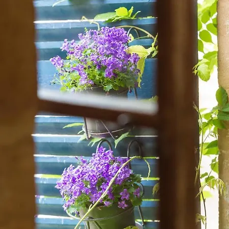 Apartamento Mana Ohana - Luxe Et Authenticité à 2 Pas De La Place Ducale Avec Parking Privé *