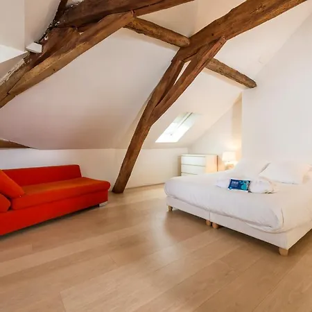 Mana Ohana - Luxe Et Authenticité à 2 Pas De La Place Ducale Avec Parking Privé Apartamento