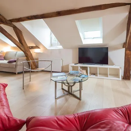 Apartment Mana Ohana - Luxe Et Authenticite A 2 Pas De La Place Ducale Avec Parking Prive