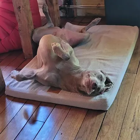 Mana Ohana - Luxe Et Authenticité à 2 Pas De La Place Ducale Avec Parking Privé *