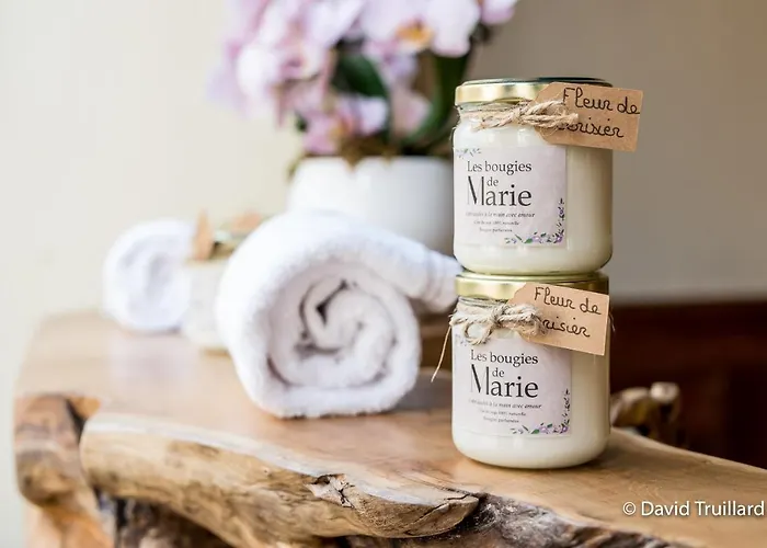 Mana Ohana - Luxe Et Authenticité à 2 Pas De La Place Ducale Avec Parking Privé * Charleville-Mézières